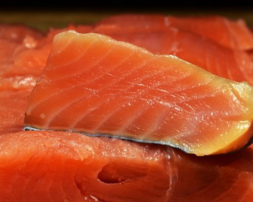 salmon fish omega-3